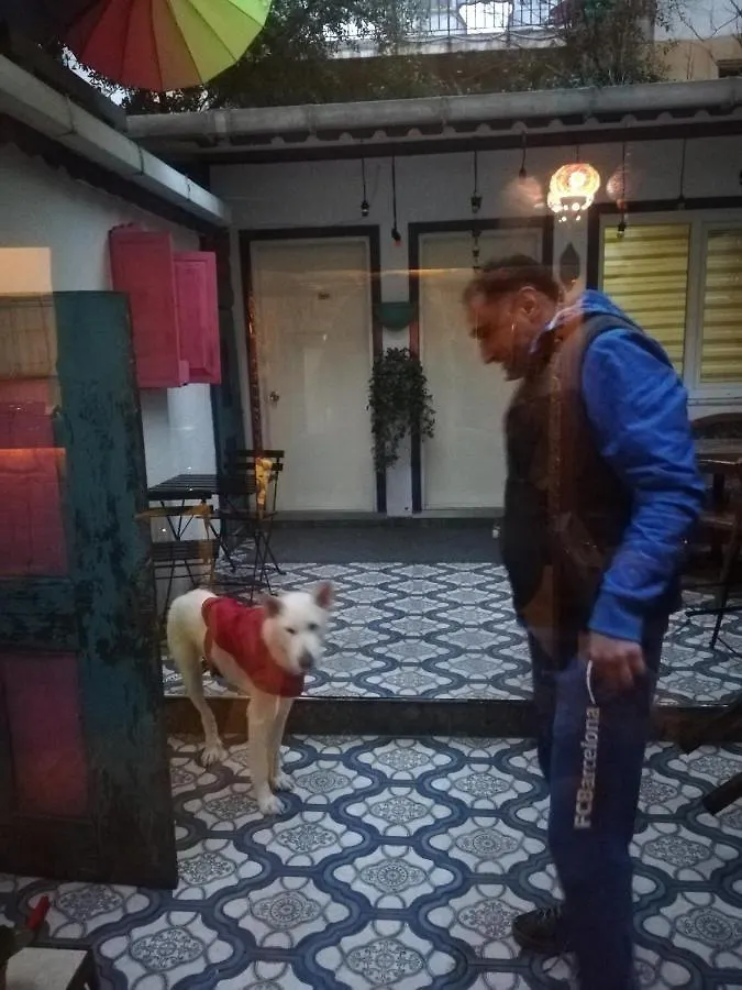 Zeytin Butik Hotel Istanbul